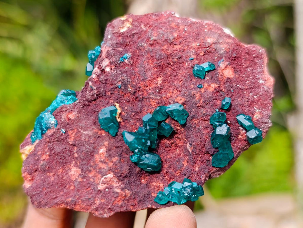 Natural Dioptase on Dolomite Specimens x 6 From Likasi, Congo - Toprock Gemstones and Minerals 