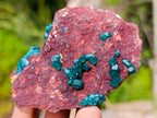 Natural Dioptase on Dolomite Specimens x 6 From Likasi, Congo - Toprock Gemstones and Minerals 