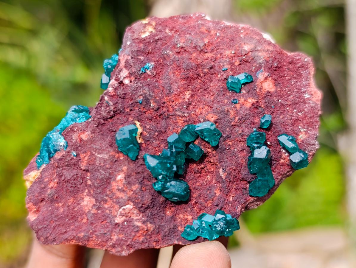 Natural Dioptase on Dolomite Specimens x 6 From Likasi, Congo - Toprock Gemstones and Minerals 