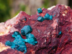 Natural Dioptase on Dolomite Specimens x 6 From Likasi, Congo - Toprock Gemstones and Minerals 
