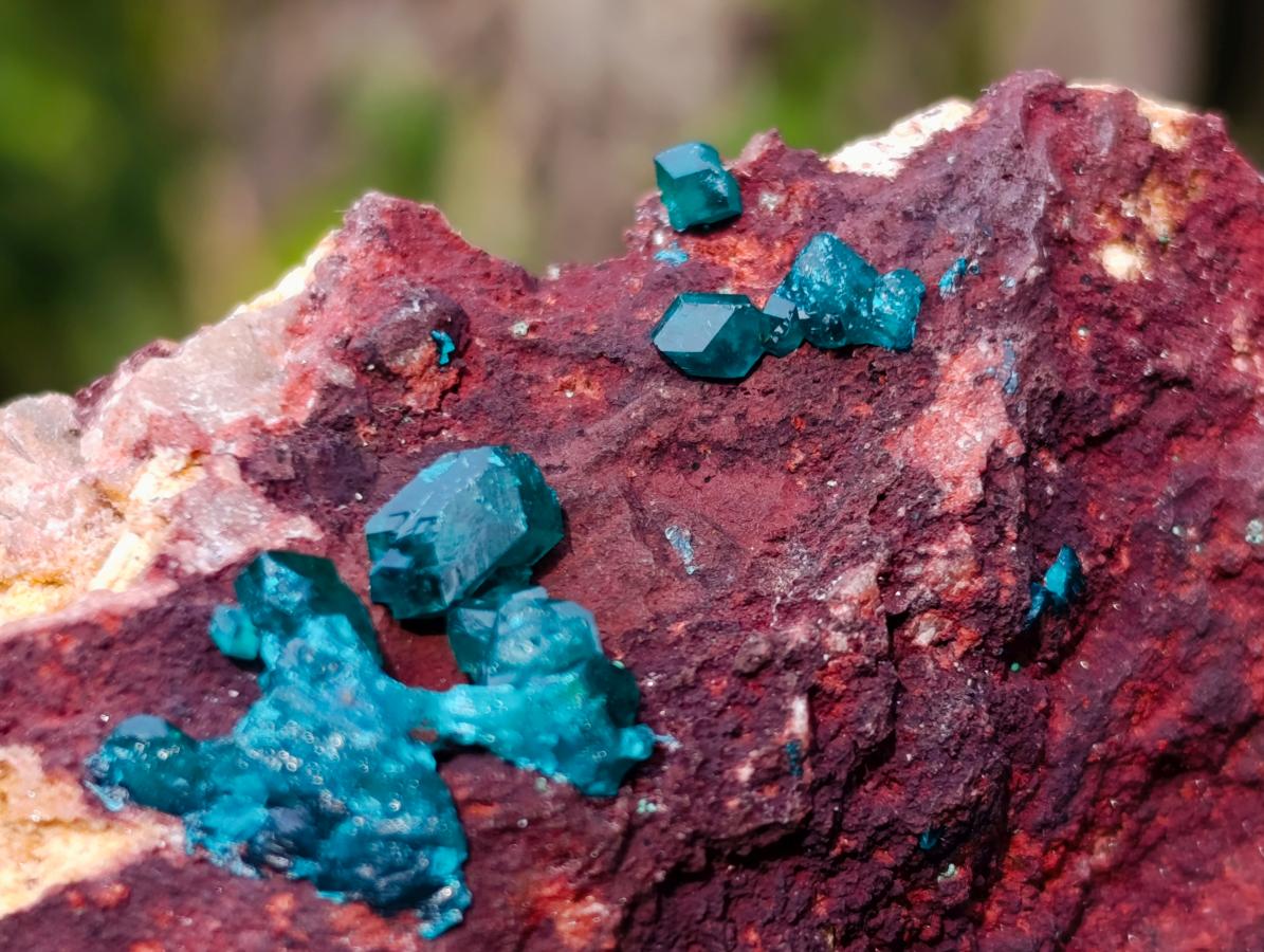 Natural Dioptase on Dolomite Specimens x 6 From Likasi, Congo - Toprock Gemstones and Minerals 
