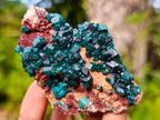 Natural Dioptase on Dolomite Specimens x 6 From Likasi, Congo - Toprock Gemstones and Minerals 