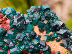 Natural Dioptase on Dolomite Specimens x 6 From Likasi, Congo - Toprock Gemstones and Minerals 
