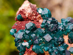 Natural Dioptase on Dolomite Specimens x 6 From Likasi, Congo - Toprock Gemstones and Minerals 