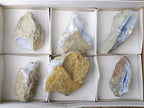 Natural Blue Lace Agate Geode Specimens x 12 From Nsanje, Malawi - Toprock Gemstones and Minerals 