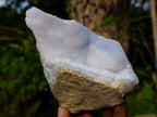 Natural Blue Lace Agate Geode Specimens x 12 From Nsanje, Malawi - Toprock Gemstones and Minerals 