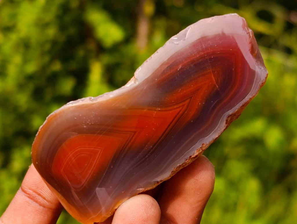 Polished One Side Red Shashe River Agate Nodules x 24 From Shashe River, Zimbabwe - Toprock Gemstones and Minerals 