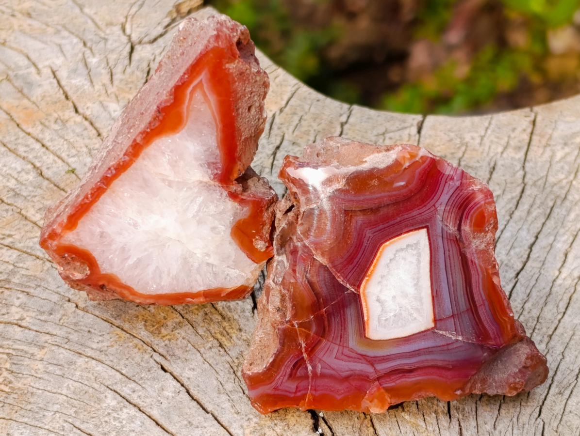 Polished One Side Red Shashe River Agate Nodules x 24 From Shashe River, Zimbabwe - Toprock Gemstones and Minerals 