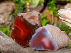 Polished One Side Red Shashe River Agate Nodules x 24 From Shashe River, Zimbabwe - Toprock Gemstones and Minerals 