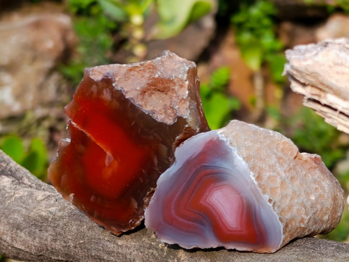 Polished One Side Red Shashe River Agate Nodules x 24 From Shashe River, Zimbabwe - Toprock Gemstones and Minerals 