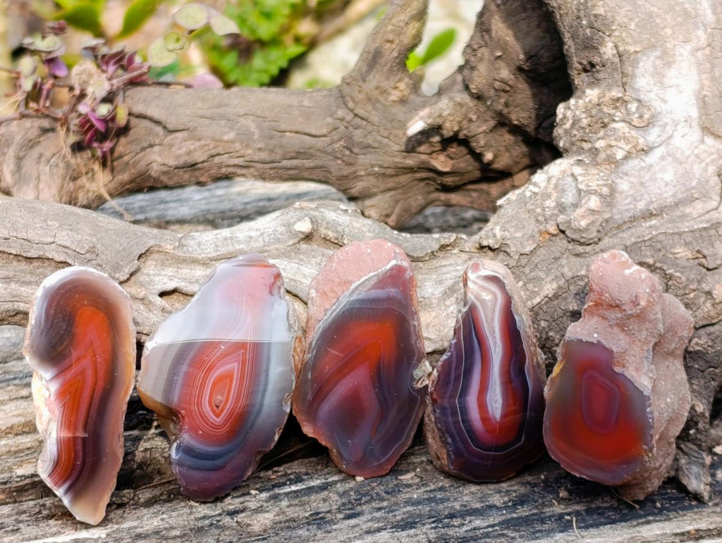 Polished One Side Red Shashe River Agate Nodules x 24 From Shashe River, Zimbabwe - Toprock Gemstones and Minerals 