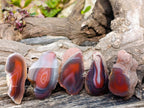 Polished One Side Red Shashe River Agate Nodules x 24 From Shashe River, Zimbabwe - Toprock Gemstones and Minerals 