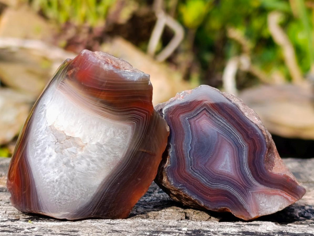Polished One Side Red Shashe River Agate Nodules x 24 From Shashe River, Zimbabwe - Toprock Gemstones and Minerals 