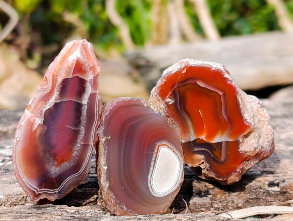 Polished One Side Red Shashe River Agate Nodules x 24 From Shashe River, Zimbabwe - Toprock Gemstones and Minerals 