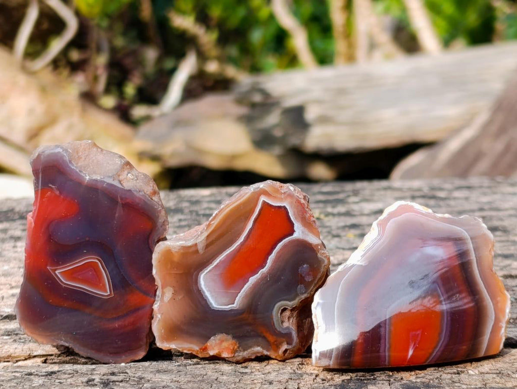 Polished One Side Red Shashe River Agate Nodules x 24 From Shashe River, Zimbabwe - Toprock Gemstones and Minerals 