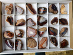 Polished One Side Red Shashe River Agate Nodules x 24 From Shashe River, Zimbabwe - Toprock Gemstones and Minerals 