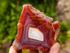 Polished One Side Red Shashe River Agate Nodules x 24 From Shashe River, Zimbabwe - Toprock Gemstones and Minerals 