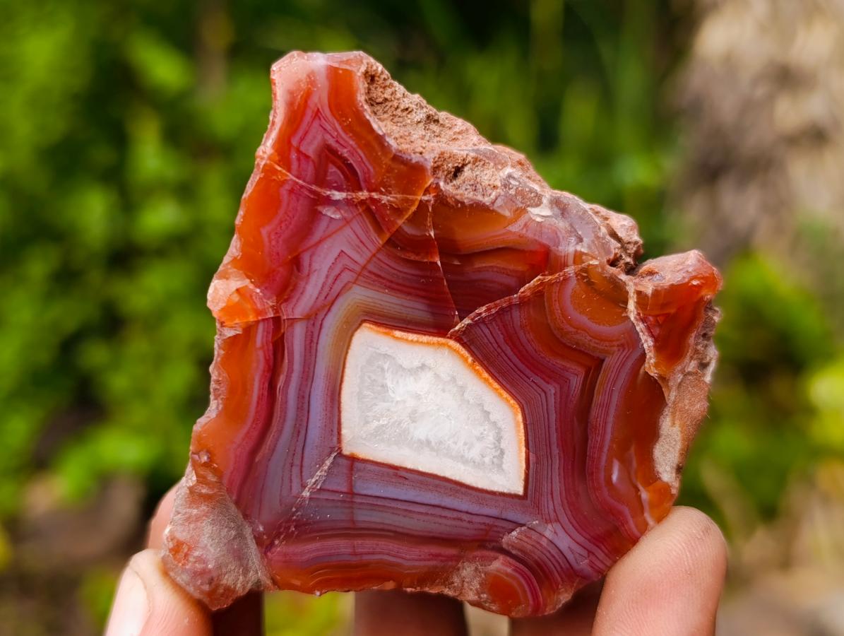 Polished One Side Red Shashe River Agate Nodules x 24 From Shashe River, Zimbabwe - Toprock Gemstones and Minerals 