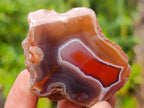 Polished One Side Red Shashe River Agate Nodules x 24 From Shashe River, Zimbabwe - Toprock Gemstones and Minerals 