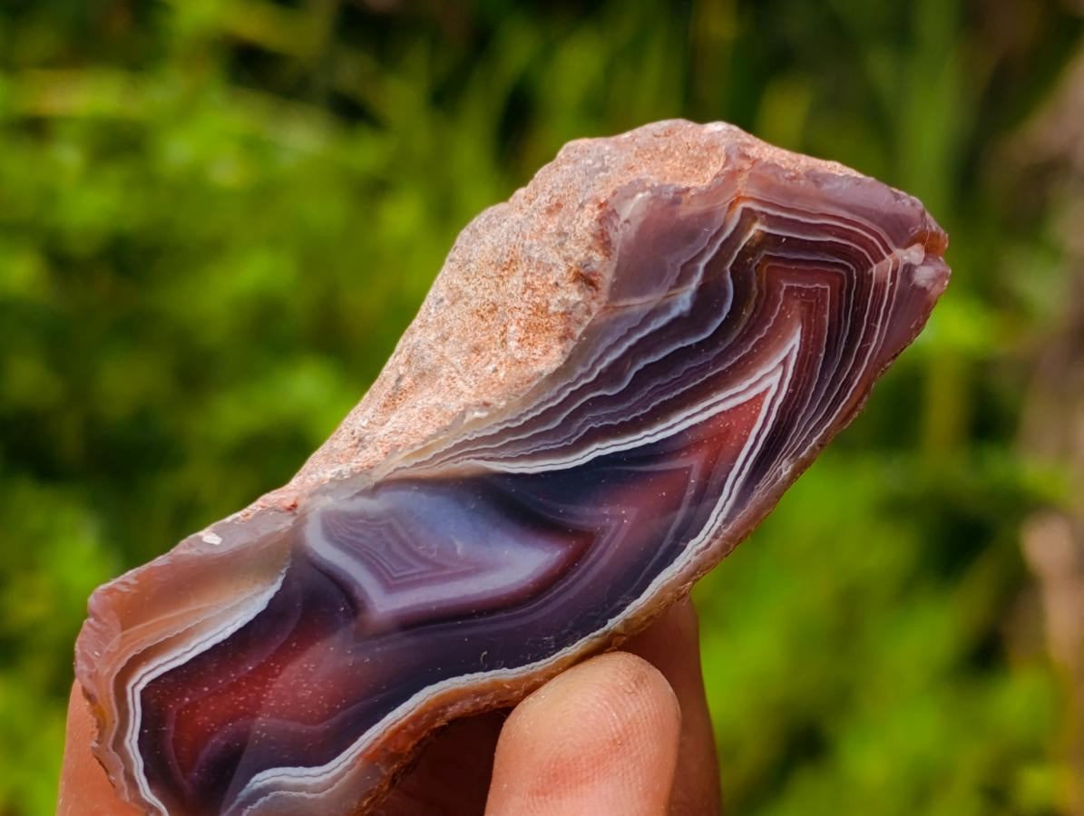 Polished One Side Red Shashe River Agate Nodules x 24 From Shashe River, Zimbabwe - Toprock Gemstones and Minerals 