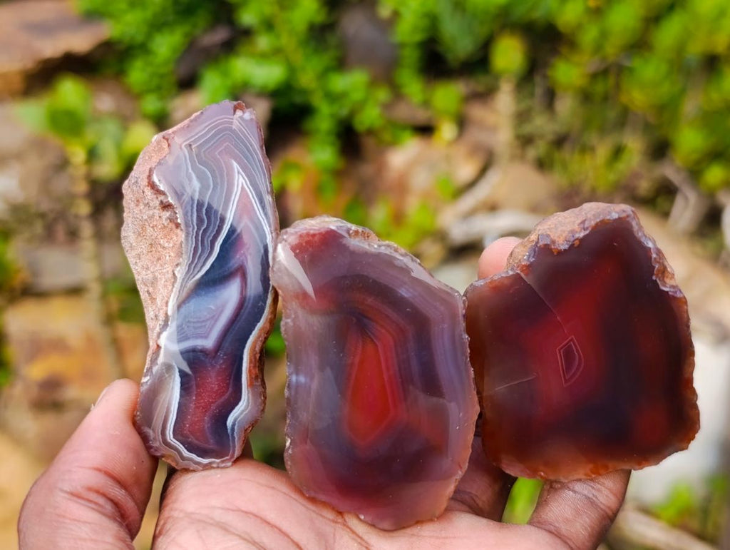 Polished One Side Red Shashe River Agate Nodules x 24 From Shashe River, Zimbabwe - Toprock Gemstones and Minerals 