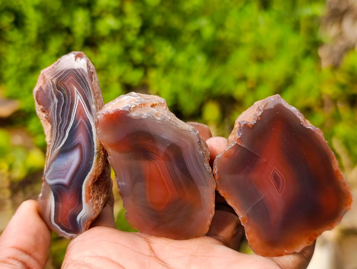 Polished One Side Red Shashe River Agate Nodules x 24 From Shashe River, Zimbabwe - Toprock Gemstones and Minerals 