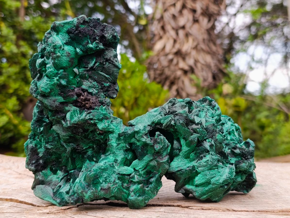 Natural Silky Malachite Specimens x 2 From Kasompe, Congo - Toprock Gemstones and Minerals 