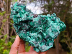 Natural Silky Malachite Specimens x 2 From Kasompe, Congo - Toprock Gemstones and Minerals 