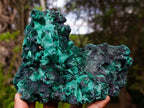 Natural Silky Malachite Specimens x 2 From Kasompe, Congo - Toprock Gemstones and Minerals 