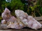Natural Mix of Spirit Amethyst Clusters x 6 From Boekenhouthoek, South Africa - Toprock Gemstones and Minerals 