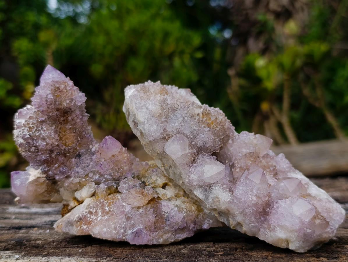 Natural Mix of Spirit Amethyst Clusters x 6 From Boekenhouthoek, South Africa - Toprock Gemstones and Minerals 
