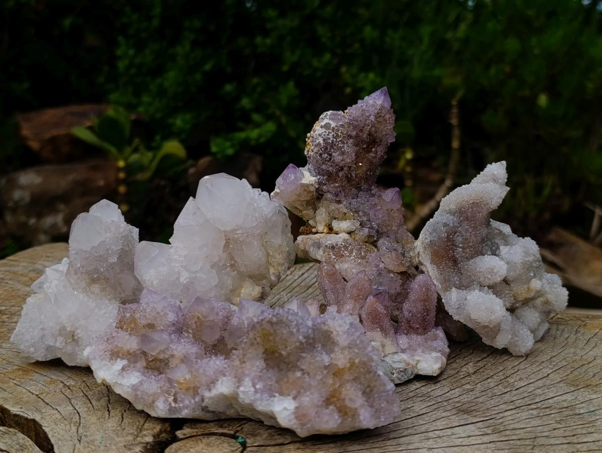 Natural Mix of Spirit Amethyst Clusters x 6 From Boekenhouthoek, South Africa - Toprock Gemstones and Minerals 