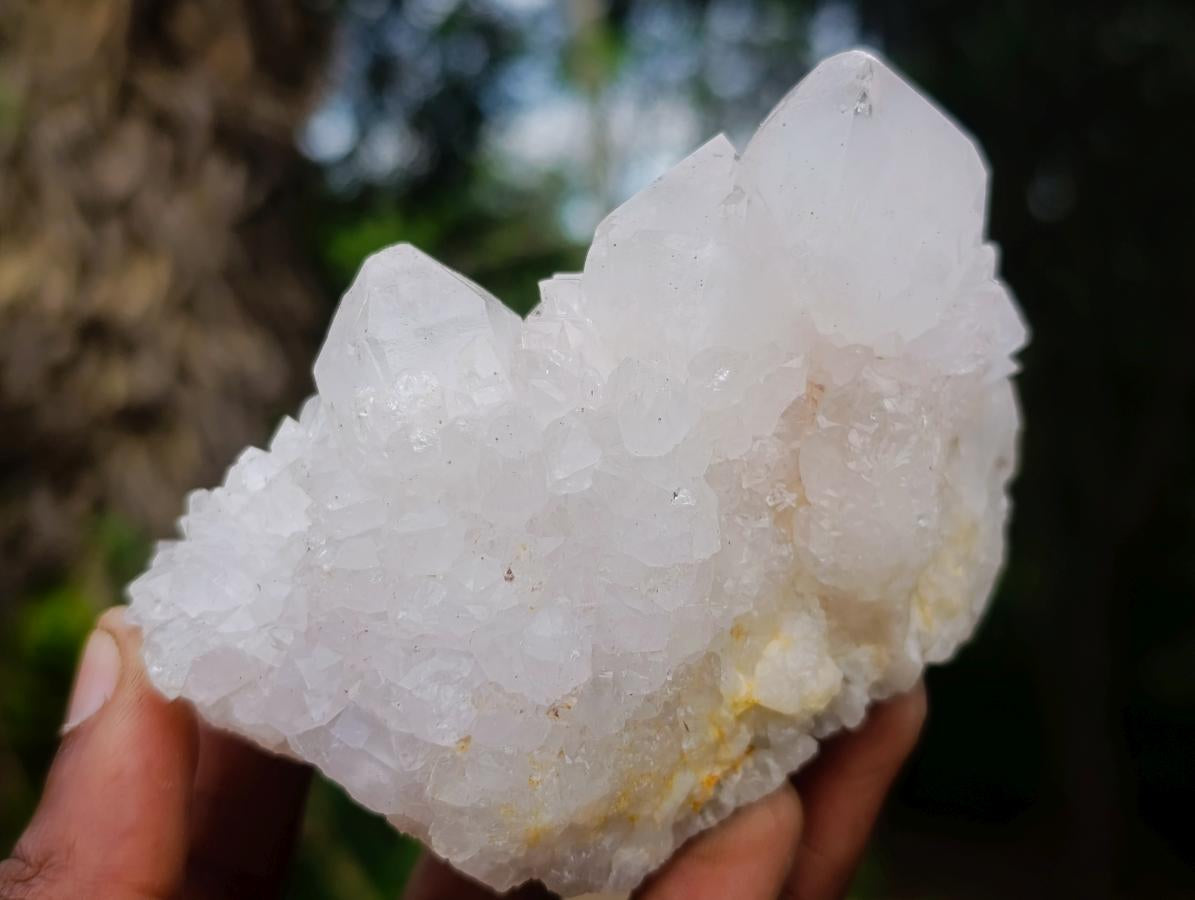 Natural Mix of Spirit Amethyst Clusters x 6 From Boekenhouthoek, South Africa - Toprock Gemstones and Minerals 