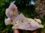 Natural Mix of Spirit Amethyst Clusters x 6 From Boekenhouthoek, South Africa - Toprock Gemstones and Minerals 