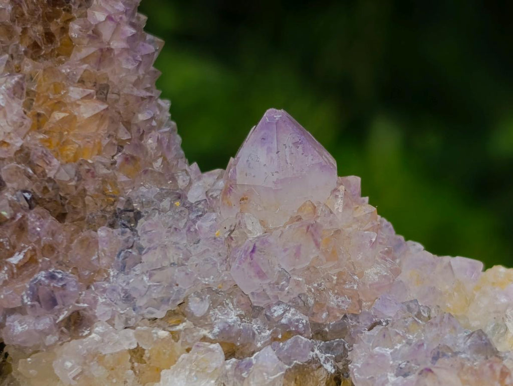 Natural Mix of Spirit Amethyst Clusters x 6 From Boekenhouthoek, South Africa - Toprock Gemstones and Minerals 