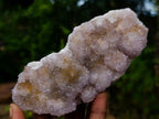 Natural Mix of Spirit Amethyst Clusters x 6 From Boekenhouthoek, South Africa - Toprock Gemstones and Minerals 