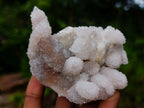 Natural Mix of Spirit Amethyst Clusters x 6 From Boekenhouthoek, South Africa - Toprock Gemstones and Minerals 
