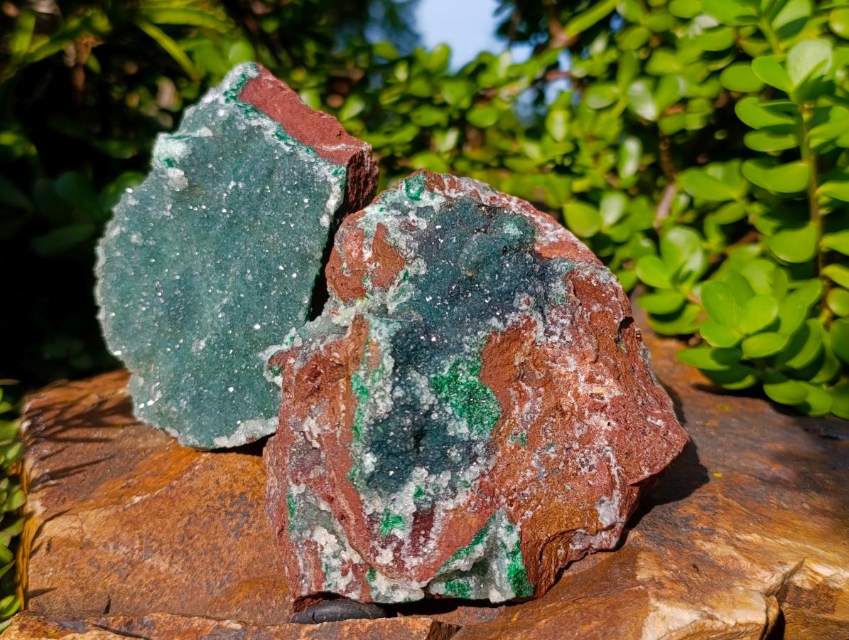Natural Drusy Quartz Coated Ball Malachite on Dolomite Specimens x 2 From Mindingi Mine, Kambove, Congo - Toprock Gemstones and Minerals 