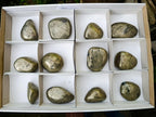 Polished Basalt Pharaoh Stone Free Forms x 12 From Iron Duke Mine, Zimbabwe - Toprock Gemstones and Minerals 