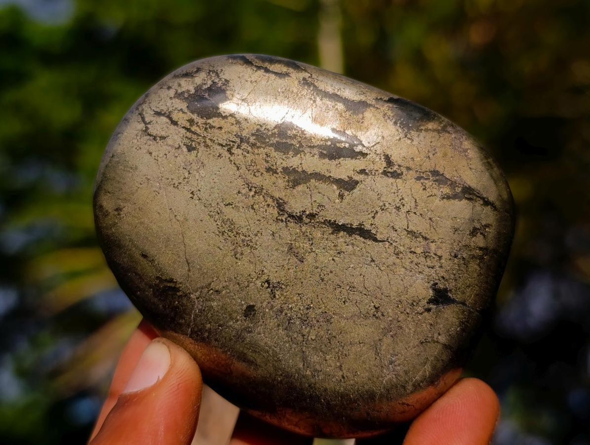 Polished Basalt Pharaoh Stone Free Forms x 12 From Iron Duke Mine, Zimbabwe - Toprock Gemstones and Minerals 