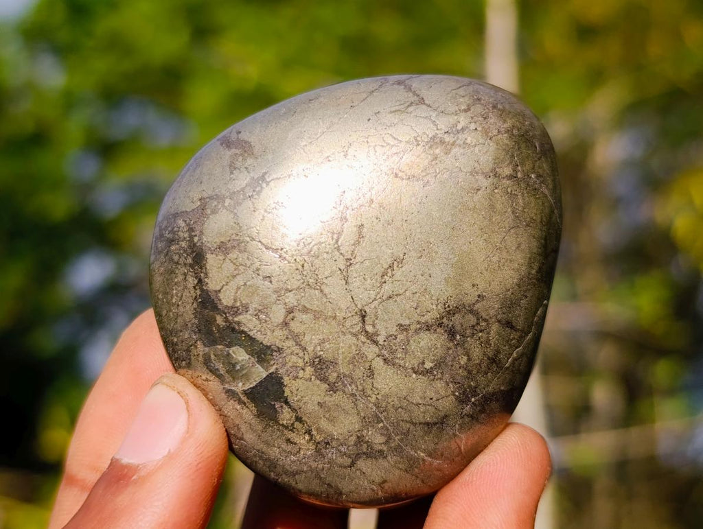 Polished Basalt Pharaoh Stone Free Forms x 12 From Iron Duke Mine, Zimbabwe - Toprock Gemstones and Minerals 