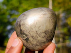 Polished Basalt Pharaoh Stone Free Forms x 12 From Iron Duke Mine, Zimbabwe - Toprock Gemstones and Minerals 