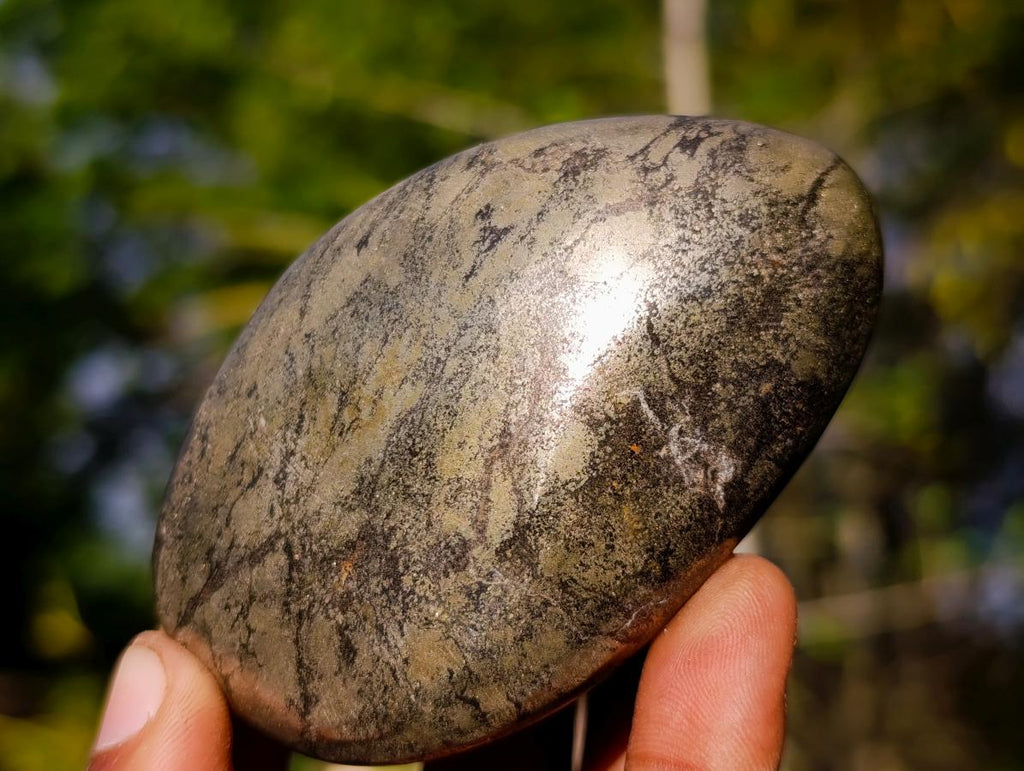 Polished Basalt Pharaoh Stone Free Forms x 12 From Iron Duke Mine, Zimbabwe - Toprock Gemstones and Minerals 
