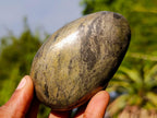 Polished Basalt Pharaoh Stone Free Forms x 12 From Iron Duke Mine, Zimbabwe - Toprock Gemstones and Minerals 