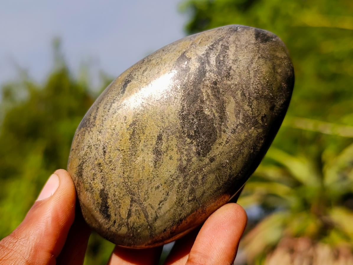 Polished Basalt Pharaoh Stone Free Forms x 12 From Iron Duke Mine, Zimbabwe - Toprock Gemstones and Minerals 