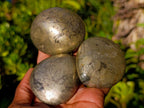 Polished Basalt Pharaoh Stone Free Forms x 12 From Iron Duke Mine, Zimbabwe - Toprock Gemstones and Minerals 
