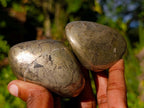 Polished Basalt Pharaoh Stone Free Forms x 12 From Iron Duke Mine, Zimbabwe - Toprock Gemstones and Minerals 
