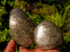 Polished Basalt Pharaoh Stone Free Forms x 12 From Iron Duke Mine, Zimbabwe - Toprock Gemstones and Minerals 
