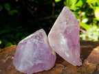 Natural Jacaranda Amethyst Single Crystals x 24 From Mumbwa, Zambia - Toprock Gemstones and Minerals 