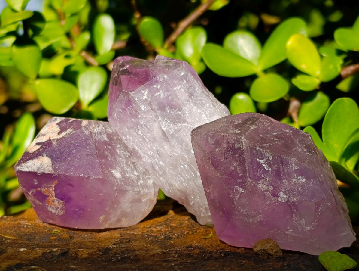 Natural Jacaranda Amethyst Single Crystals x 24 From Mumbwa, Zambia - Toprock Gemstones and Minerals 